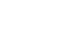 logo dian